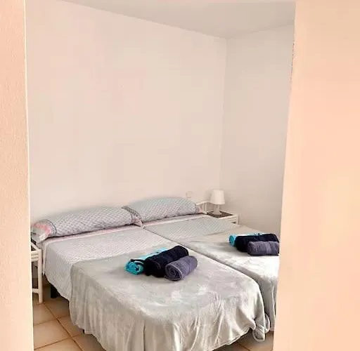 Casa Gato דירה *